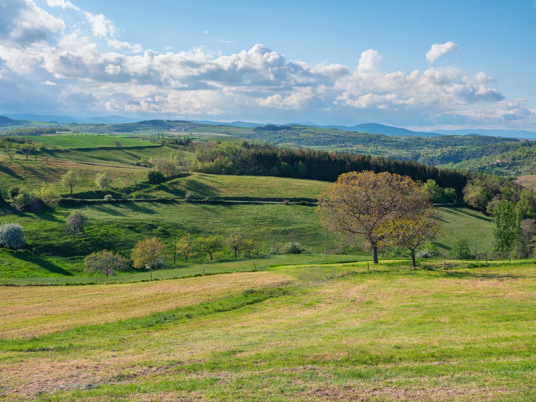 polish countryside landscape