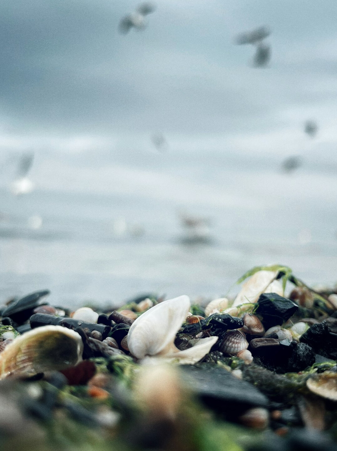hidden baltic sea gems in autumn